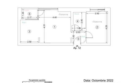 Apartament cu 2 camere în Băneasa - 13