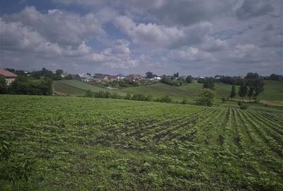 Teren intravilan de 2000 mp, în Moara Nica - 1
