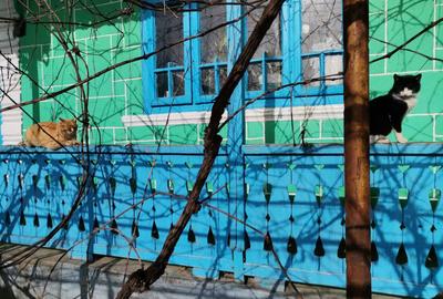 Casă cu 2 camere în Fedești - 3