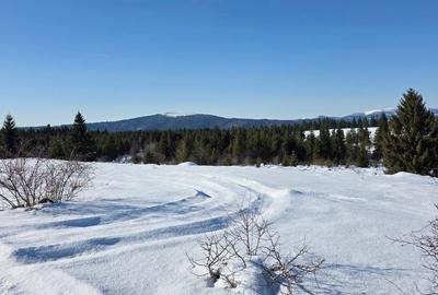 Teren de 4000 mp, în Beliș - 2