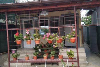 Vind casa in Urlati Prahova Vind casa in Urlati Prahova - 2