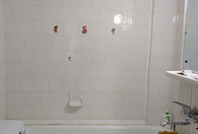 Apartament cu 4 camere decomandat în Dosu Bricii - 7