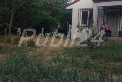 Casă cu 3 camere cu Teren 5000 Mp în Pătlăgeanca - 2