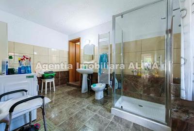 Casa D+P+M si teren 1941mp in Simeria, Jud. Hunedoara. - 13