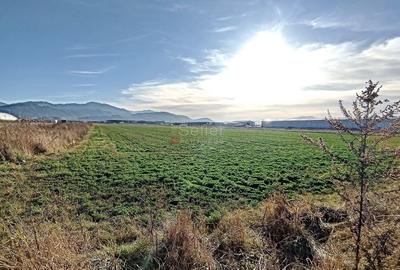 Teren Industrial - 6