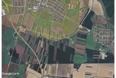 Teren agricol 5 Ha in Arad zona Sannicolau Mic, 11.800 Euro Ha - 2