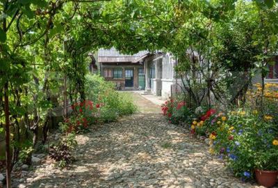 Casă cu 4 camere cu Teren 1300 Mp în Doicești - 9