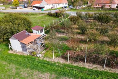 De vanzare teren cu livada in Sarbova! - 10