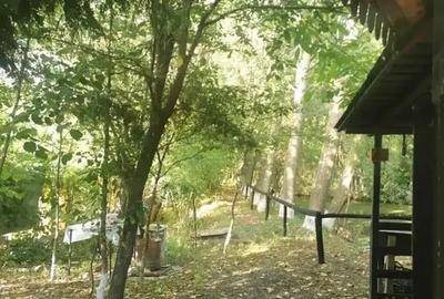 Teren in Contesti, Dambovita - 12