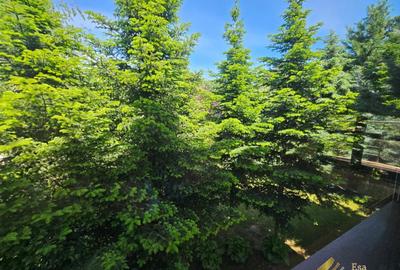 De vanzare vila individuala  Snagov padure-lac - 3