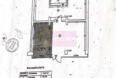 Inchiriere spatiu comercial in zona Teiul Doamnei, stradal - 10