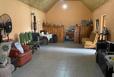 Casă cu Teren 1454 Mp în Pustiniș