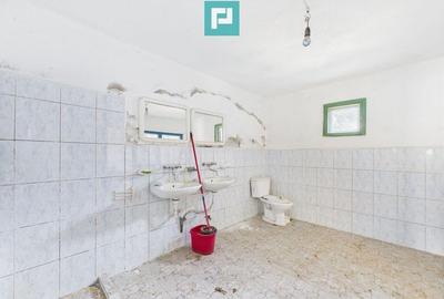 Cladire cu 5 camere cu teren ?i hala in Cenad - 5