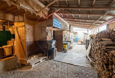 Casă cu 3 camere cu Teren 700 Mp în Mihai Viteazu - 18