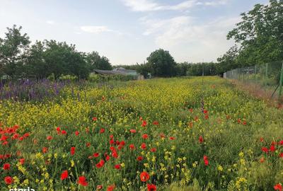 Teren de 3000 mp, în Dorobanțu - 7