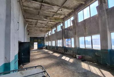 Spațiu comercial, de 550 mp, în Tătaru - 5