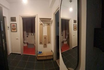 Apartament cu 2 camere semidecomandat în Roșu - 3