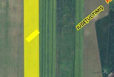 Spațiu comercial, în Pișchia - 3