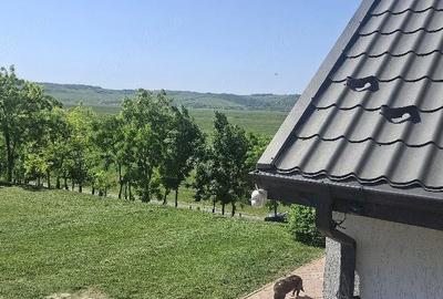 Casă cu Teren 2860 Mp în Țigănași - 2