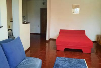 Garsoniera cu centrala termica Garsoniera cu centrala termica - 5