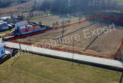 Teren de 5600 mp, în Valea Brazilor - 2