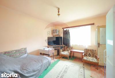 Casă cu 4 camere cu Teren 1425 Mp în Podgoria - 6