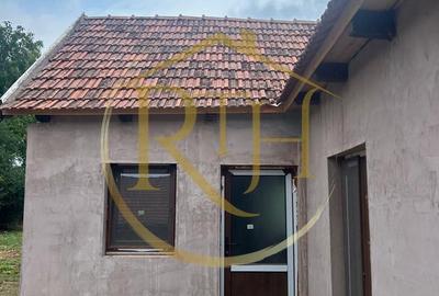 Casă cu 6 camere cu Teren 2160 Mp în Balinț - 12