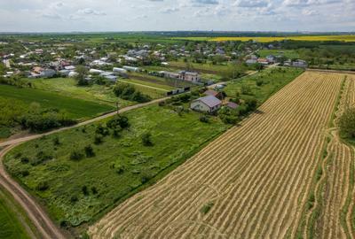 FRUMUSANI - POSTAVARI, TEREN 1500 MP, FRONT 30 M ! - 21