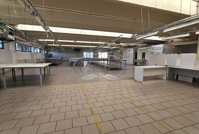 Spatiu industrial cu birouri pe Bulevardul Muncii - 2