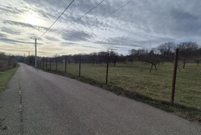 Teren Construcții intravilan de 9123 mp, în Vălenii de Munte - 7