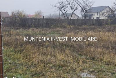 Teren de 935 mp, în Moșoaia - 3