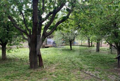 Teren intravilan + constructie, 1554 mp, Bosanci - 1