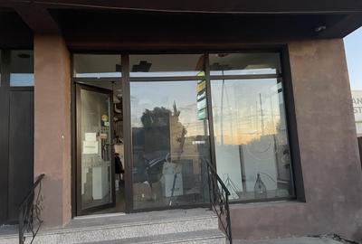 Stradal Sos Alexandriei, acces direct dn, parcare, acces tir, vizibiliate - 3