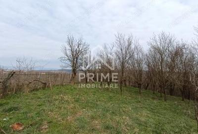 Teren de 1295 mp, în Straja - 2