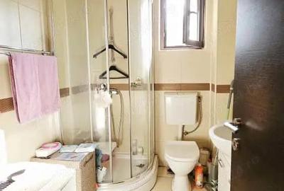 Crangasi, apartament la curte si terasa si garaj - 8