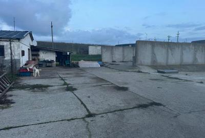 Teren de 2697 mp, în Valu lui Traian - 5