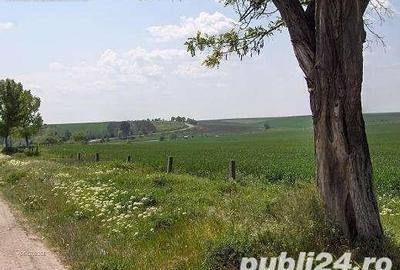 Teren de 45000 mp, în Central - 6