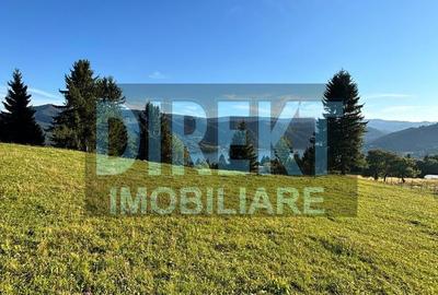 Spațiu comercial, în Colibița - 5