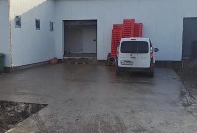 Depozit frigorific Sacalaz - 8