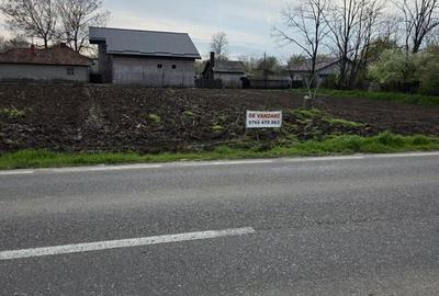 Teren de 500 mp, în Movilița - 6