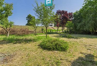 Casu?a de vacan?a cu POTEN?IAL DE INVESTI?IE - 3