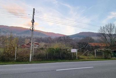 Teren de 851 mp, în Valea Doftanei - 6
