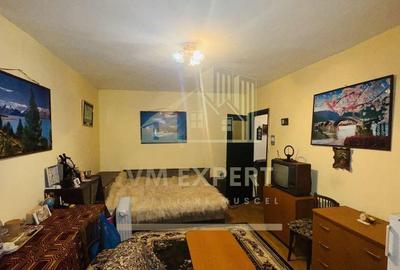 GARSONIERA DECOMANDATA CONFORT 1 ETAJ 4 CAMPULUNG - 3