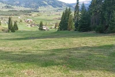 Teren de 28307 mp, în Coșna - 8