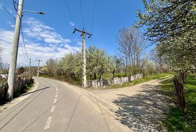 Teren Construcții intravilan de 3800 mp, în Est - 5