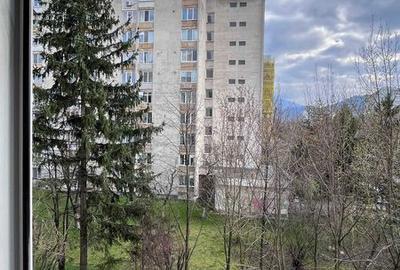 Garsonieră în Astra - 6