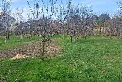 Casă cu 2 camere cu Teren 1100 Mp în Pârneava