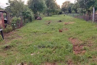 Teren intravilan, 1000 mp, Iezureni Gorj - 1