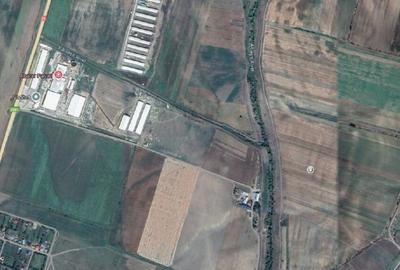 Teren Extravilan Banca, ID: R2805492 - 2