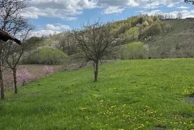 Casă cu Teren 3384 Mp în Bârsănești - 2